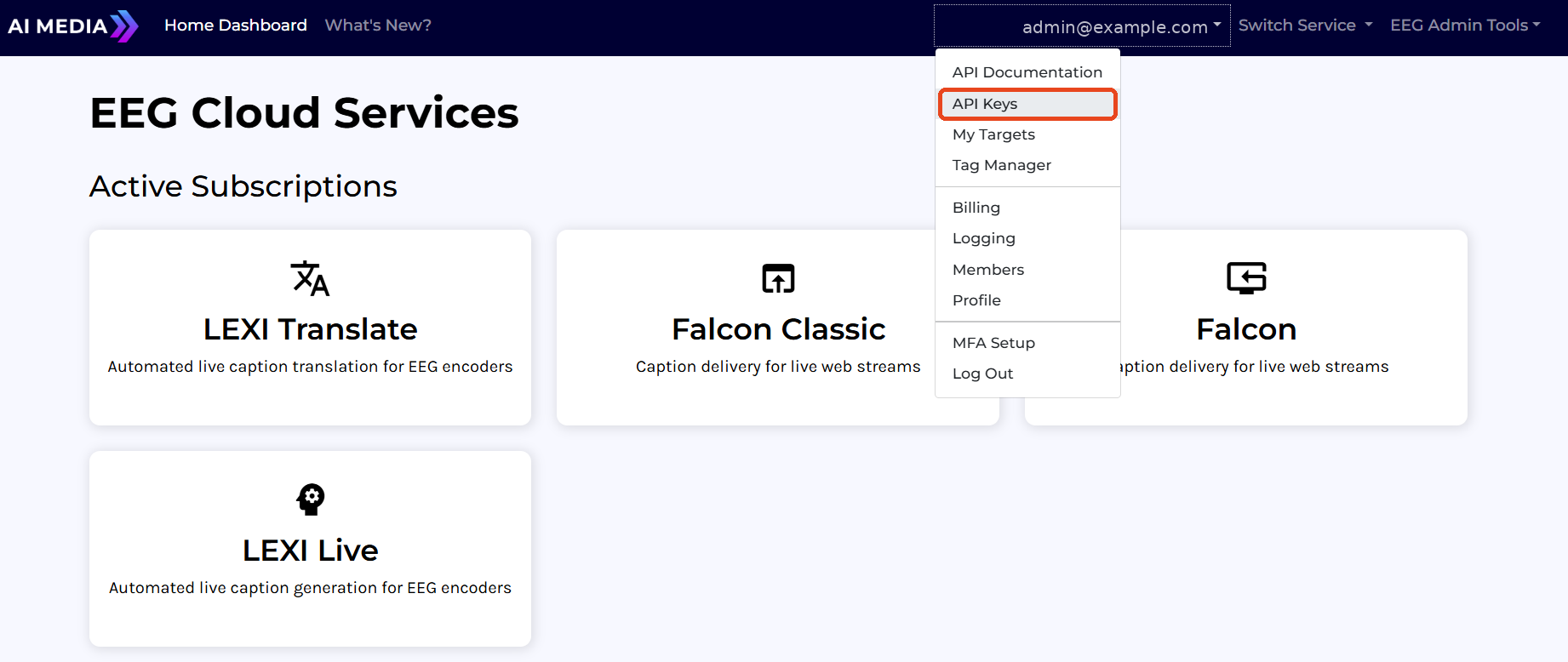 Account menu — API Keys highlighted